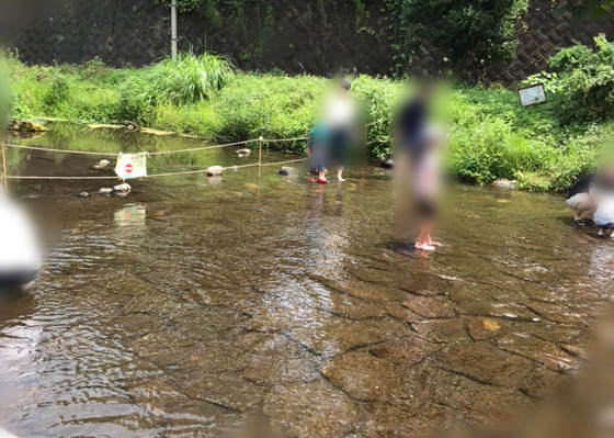 相模原公園せせらぎの園のじゃぶじゃぶ池で遊ぶ人々