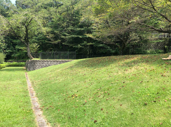 相模原公園せせらぎの園地区にある芝生の坂