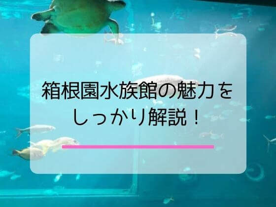 箱根園の水族館を紹介する記事のアイキャッチ画像