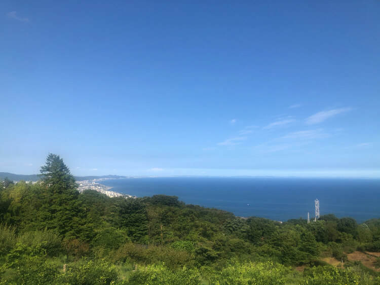 ヨロイヅカファームの農園から見える相模湾の景色