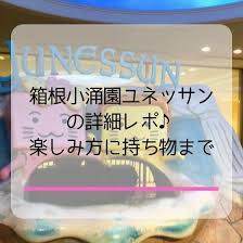 箱根小涌園ユネッサンの温泉プールは子連れで楽しめる 持ち物や宿泊も イチゴのうさぎ