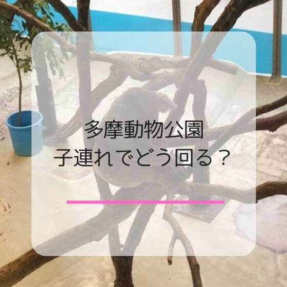 子連れ 多摩動物公園の回り方 楽しみ方をどこよりも詳しくご紹介 イチゴのうさぎ