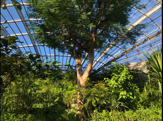 多摩動物公園にある昆虫館の昆虫生態園