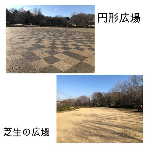 座間谷戸山公園にある広場