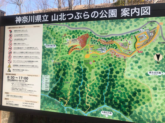 山北つぶらの公園の地図