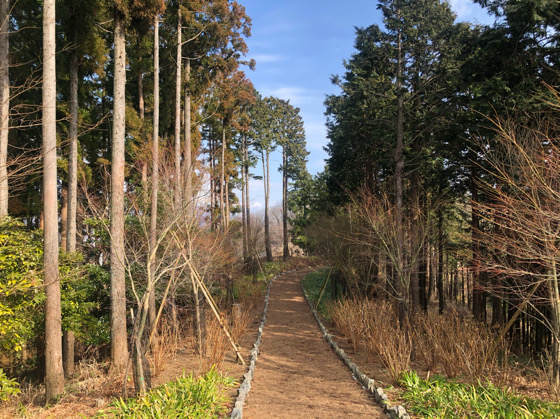 山北つぶらの公園の誰もいない散策路