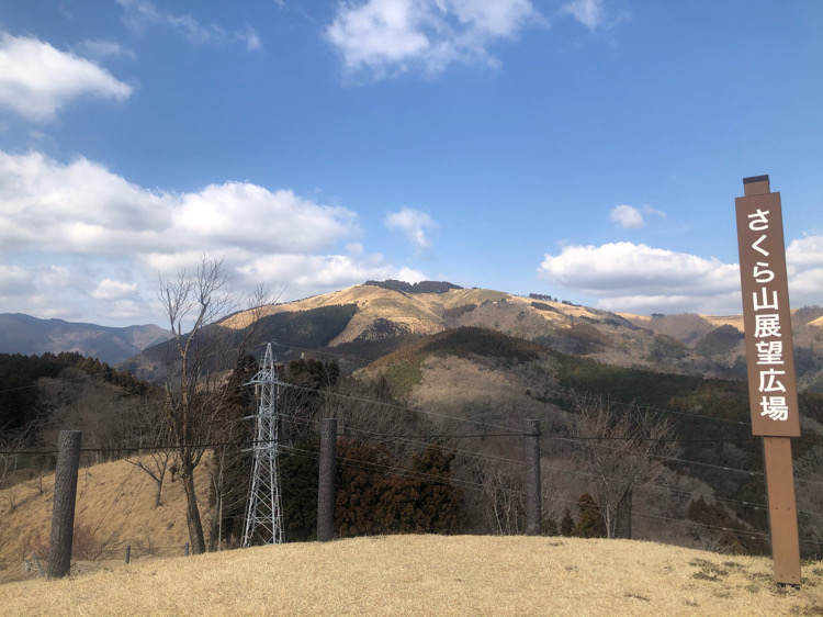 山北つぶらの公園にあるさくら広場から見える大野山