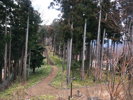 山北つぶらの公園にある紅葉の小道