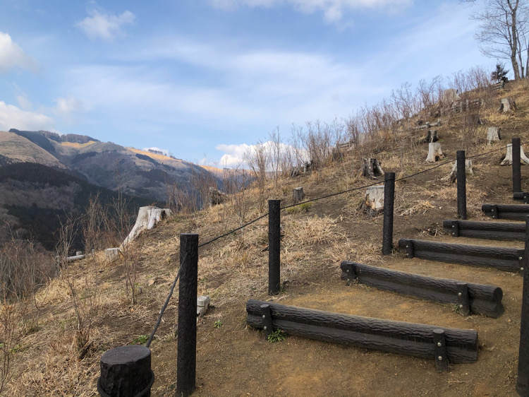 山北つぶらの公園のつつじ山展望広場までの道のり