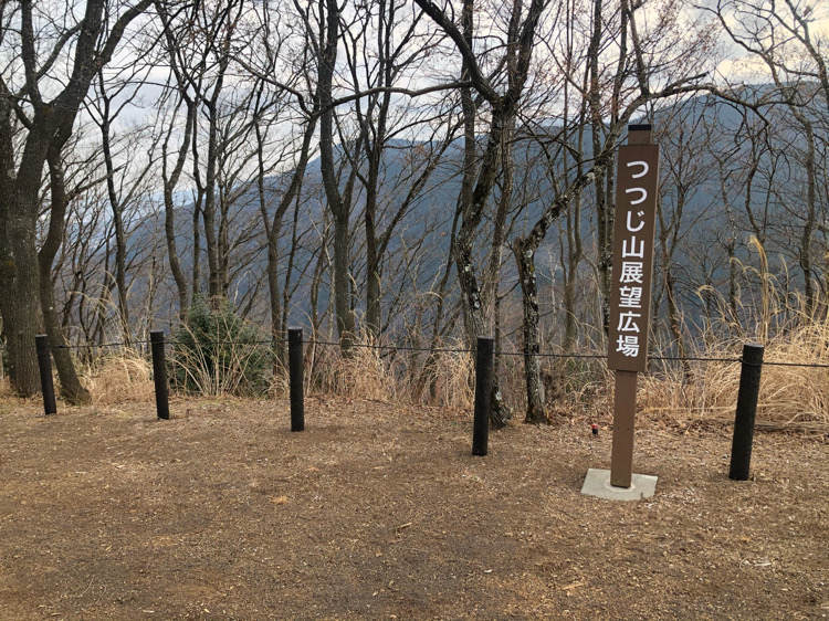 山北つぶらの公園のつつじ山展望広場