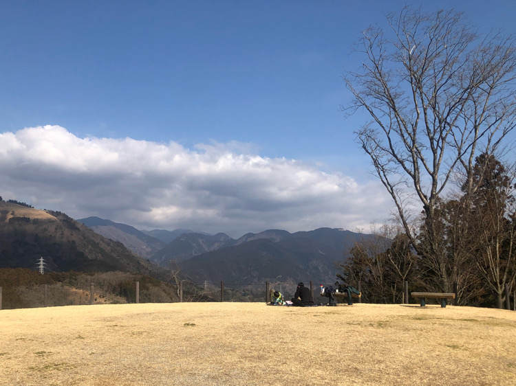 山北つぶらの公園のさくら広場でのランチ風景