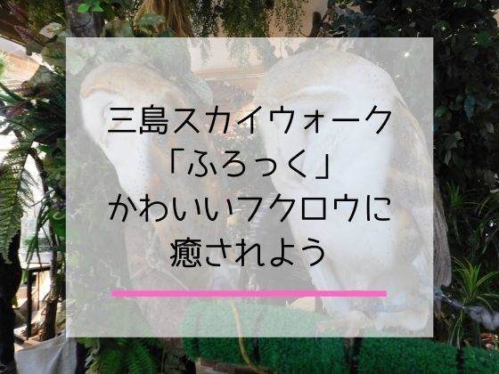 フクロウと触れ合える三島スカイウォークのふろっくの体験談記事のアイキャッチ画像