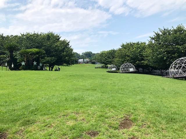 伊豆ぐらんぱる公園にある芝生広場