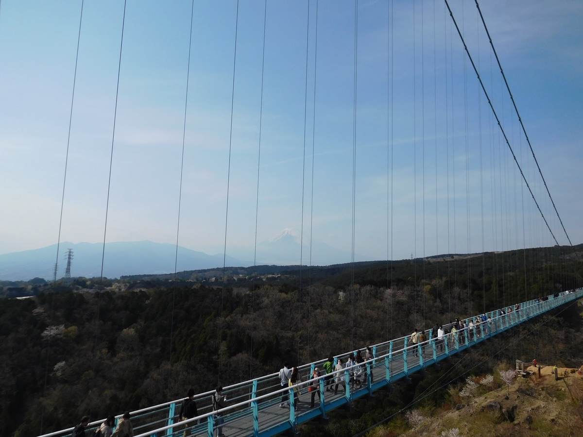 三島スカイウォーク全景