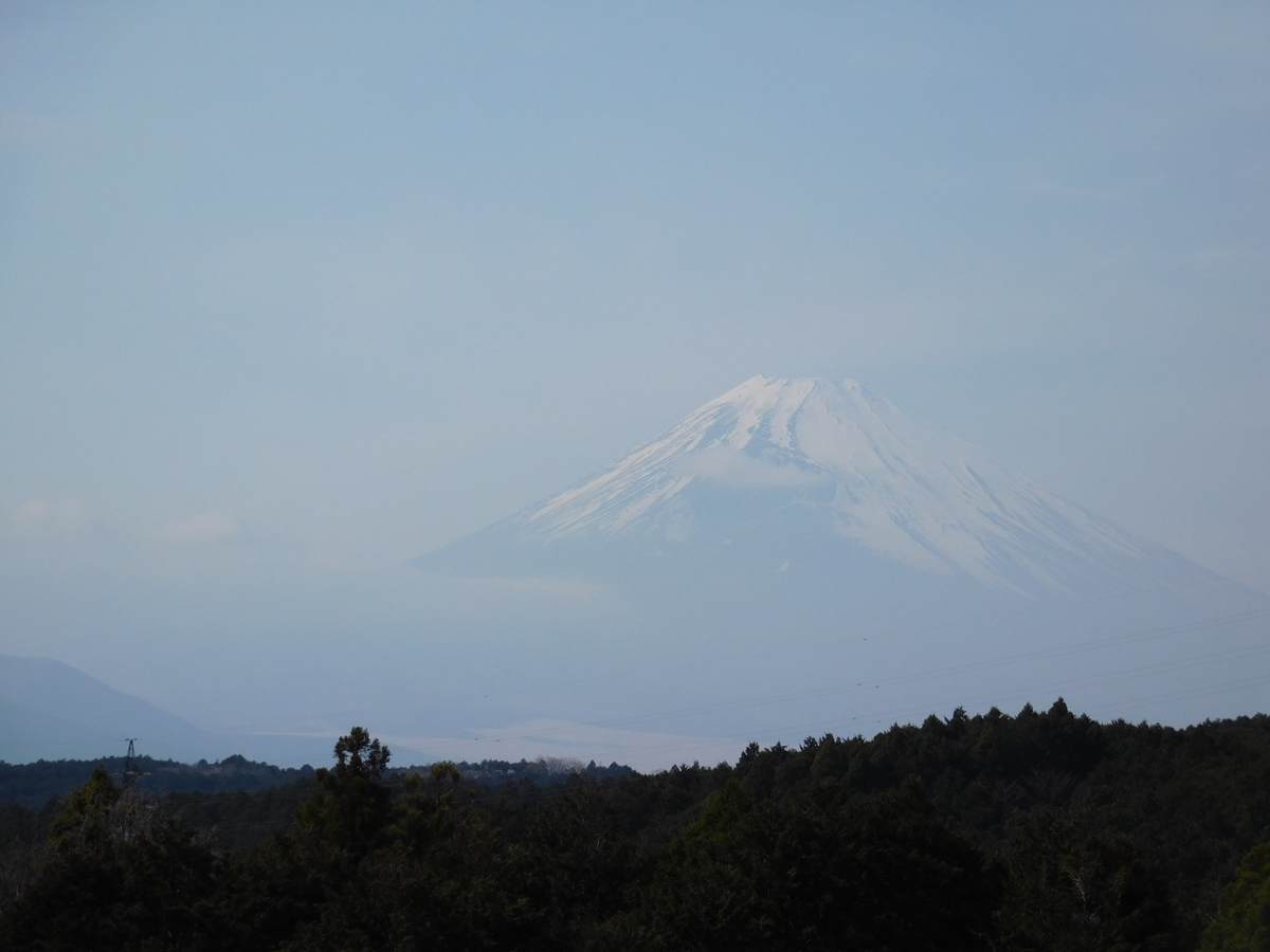 三島スカイウォークから望む富士山