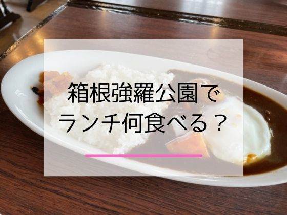 箱根ラバーが教える 箱根強羅公園のおすすめランチスポットを厳選紹介 イチゴのうさぎ 箱根ラバーが教える 箱根強羅公園のおすすめランチスポットを厳選紹介 イチゴのうさぎ