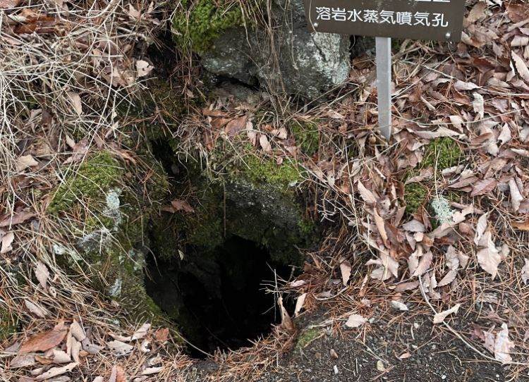 道の駅なるさわにある溶岩樹型