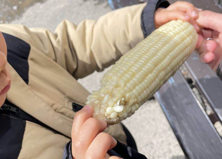 忍野八海の渡辺食品の白いとうもろこし