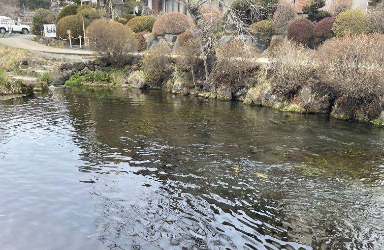 忍野八海の池