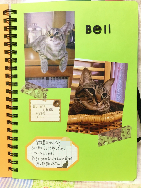 f:id:mitsu5858:20190126225046j:plain f:id:mitsu5858:20190126225046j:plain