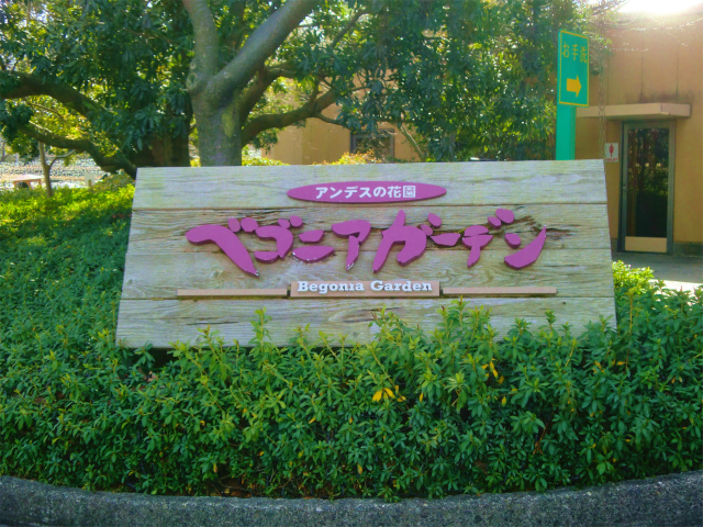 f:id:mitsu5858:20190211224219j:plain f:id:mitsu5858:20190211224219j:plain