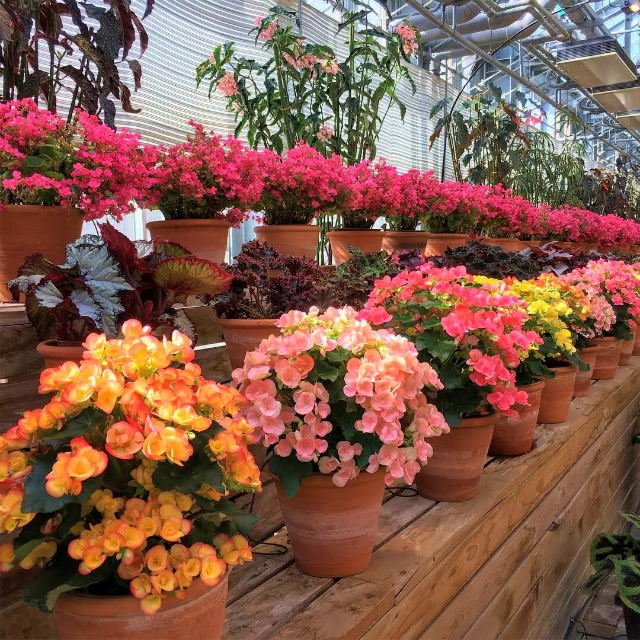 f:id:mitsu5858:20190211231711j:plain f:id:mitsu5858:20190211231711j:plain