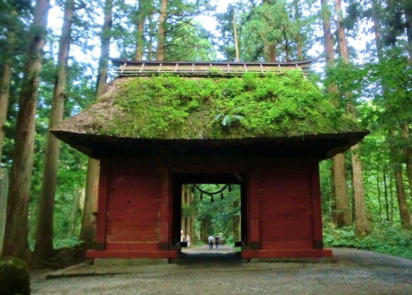 戸隠神社　随神門