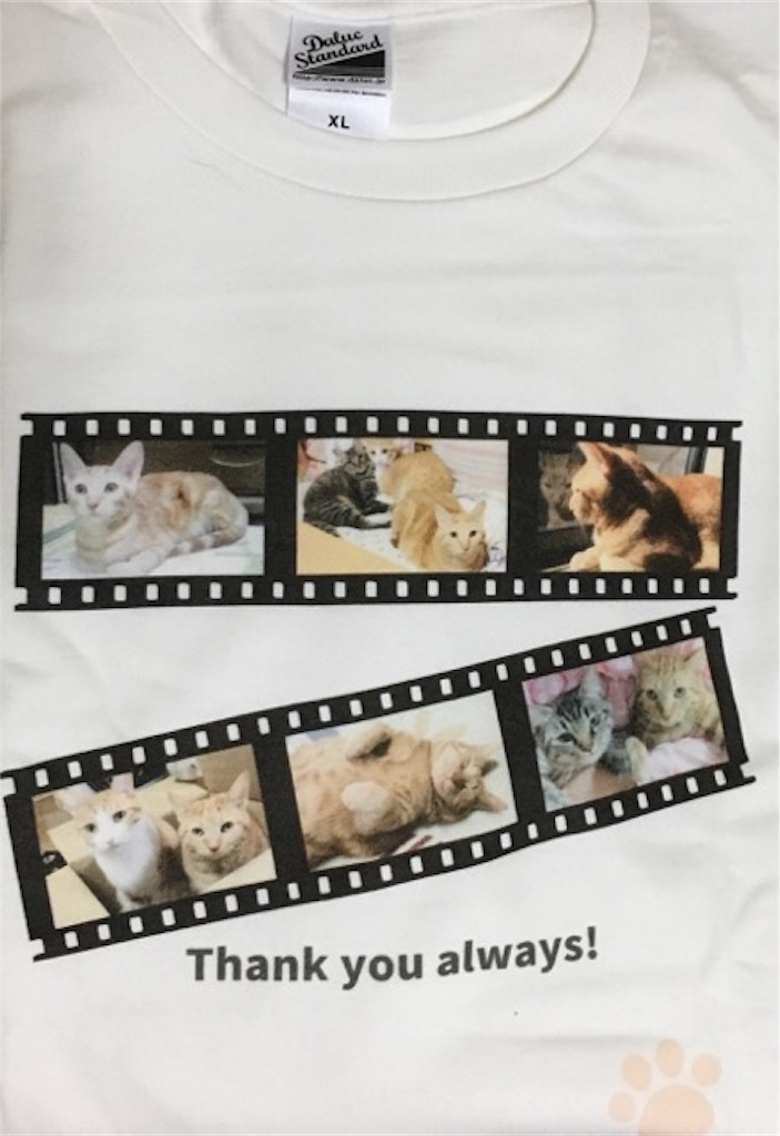 f:id:mitsu5858:20190621223841j:image f:id:mitsu5858:20190621223841j:image