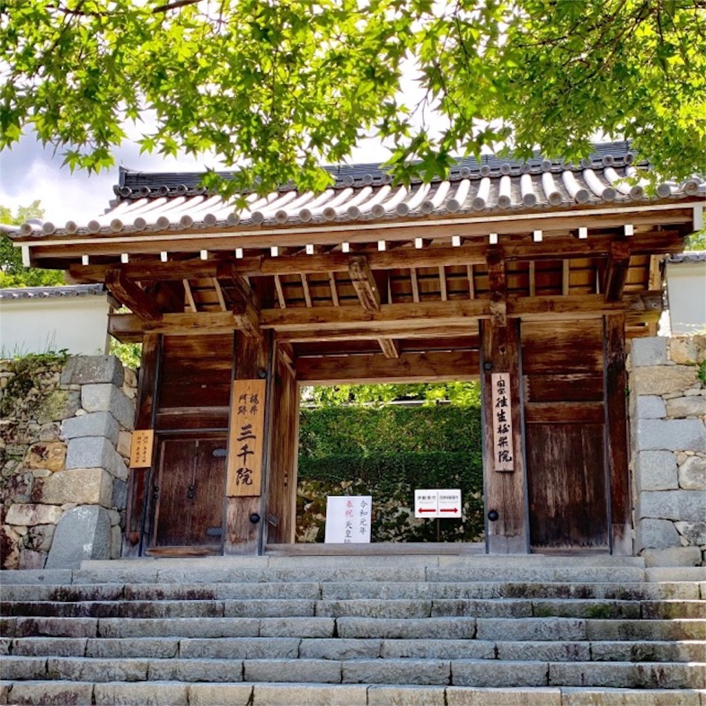 f:id:mitsu5858:20190726235709j:image f:id:mitsu5858:20190726235709j:image