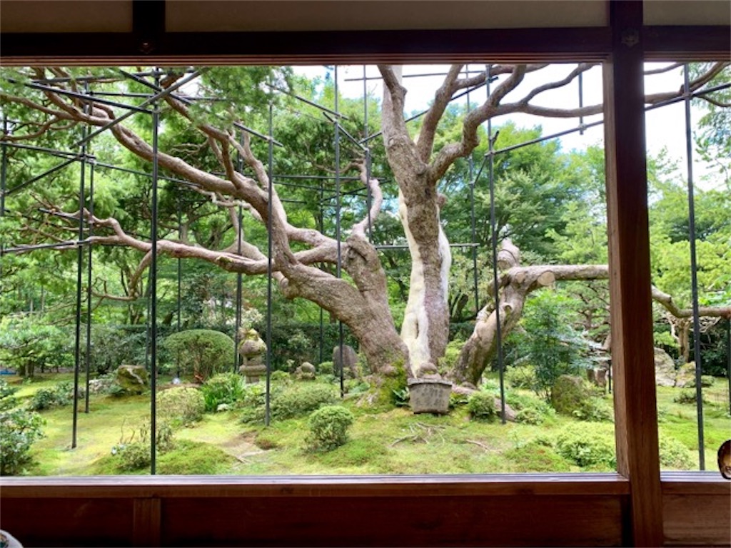 f:id:mitsu5858:20190729145027j:image f:id:mitsu5858:20190729145027j:image