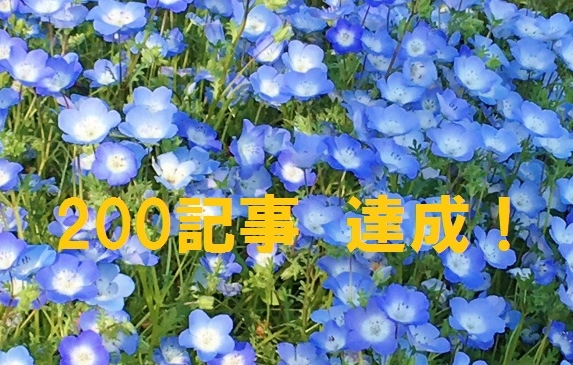 200記事達成