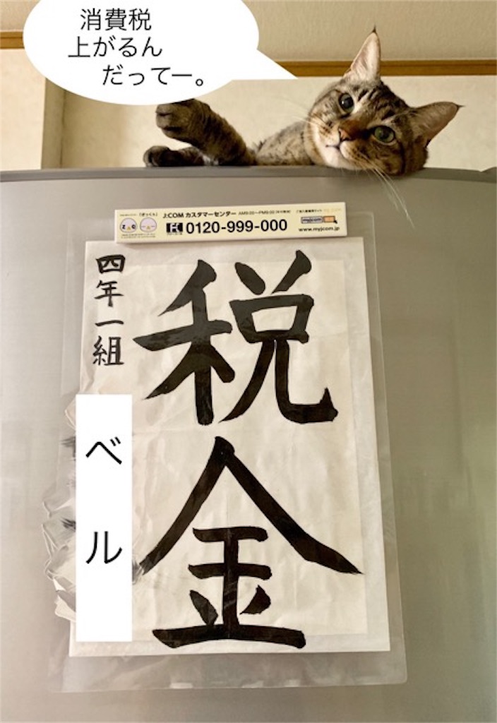 f:id:mitsu5858:20190811200827j:image f:id:mitsu5858:20190811200827j:image