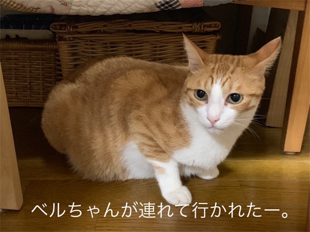 f:id:mitsu5858:20190906215905j:image f:id:mitsu5858:20190906215905j:image