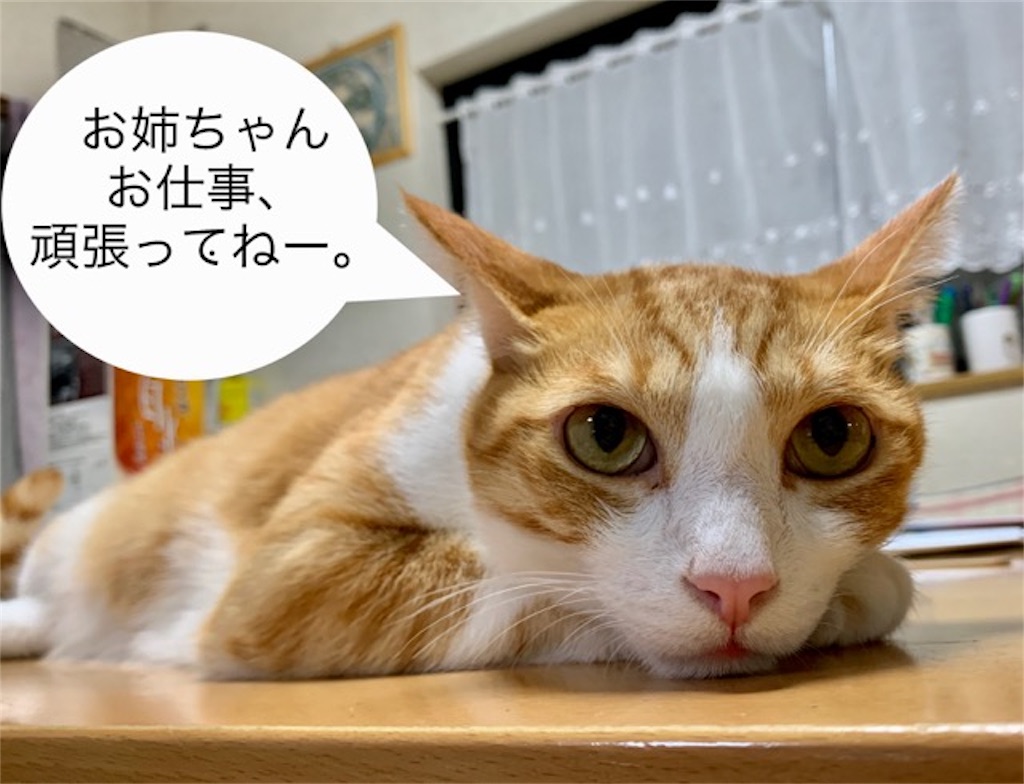 f:id:mitsu5858:20190922100234j:image f:id:mitsu5858:20190922100234j:image