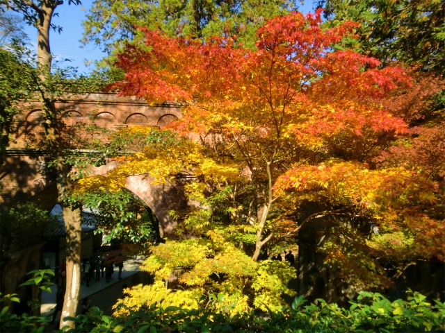 京都 紅葉 水路閣