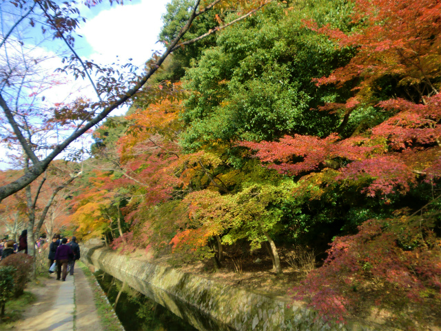 京都 紅葉 哲学の道