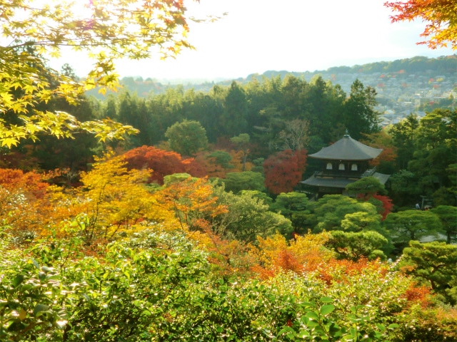 京都 紅葉 銀閣寺