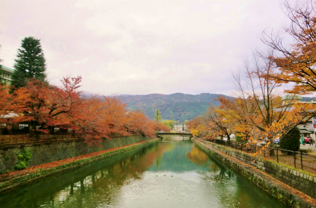 京都の紅葉おすすめルート