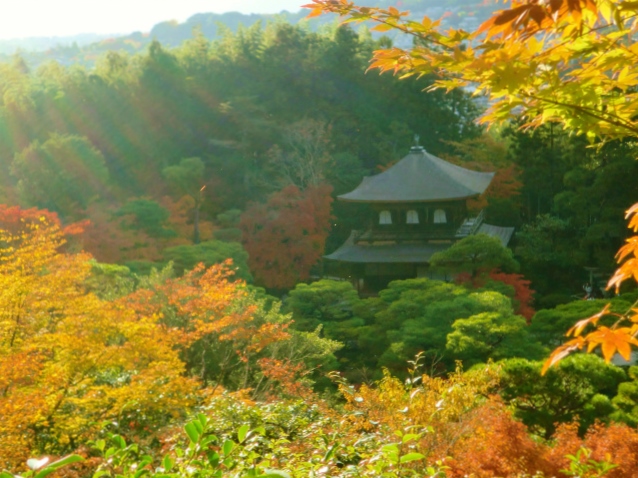 京都の紅葉