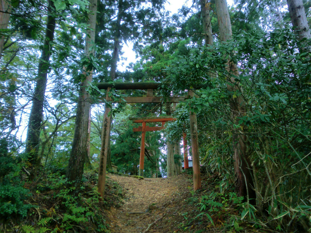 高野山 弁天岳