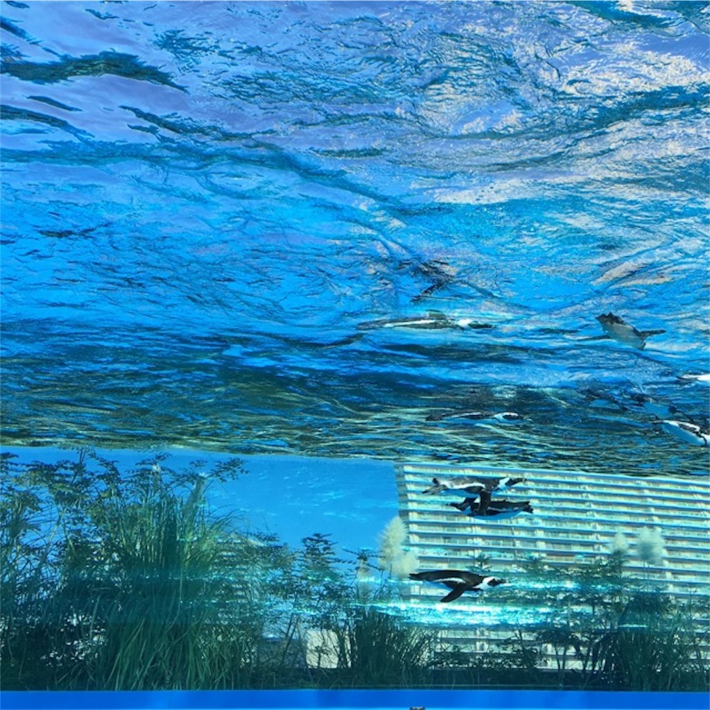 サンシャイン水族館