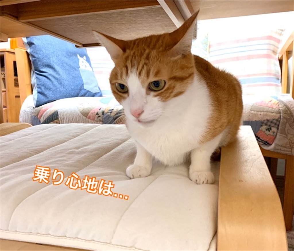 f:id:mitsu5858:20191119125114j:image