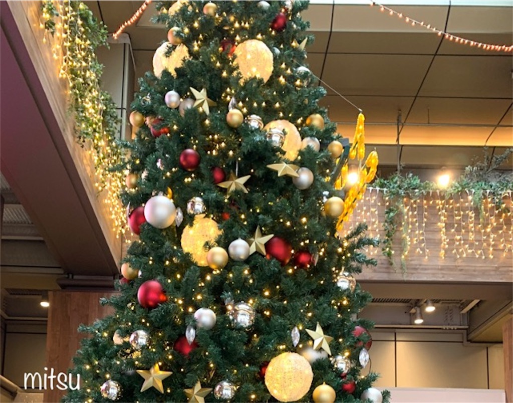 f:id:mitsu5858:20191202114541j:image
