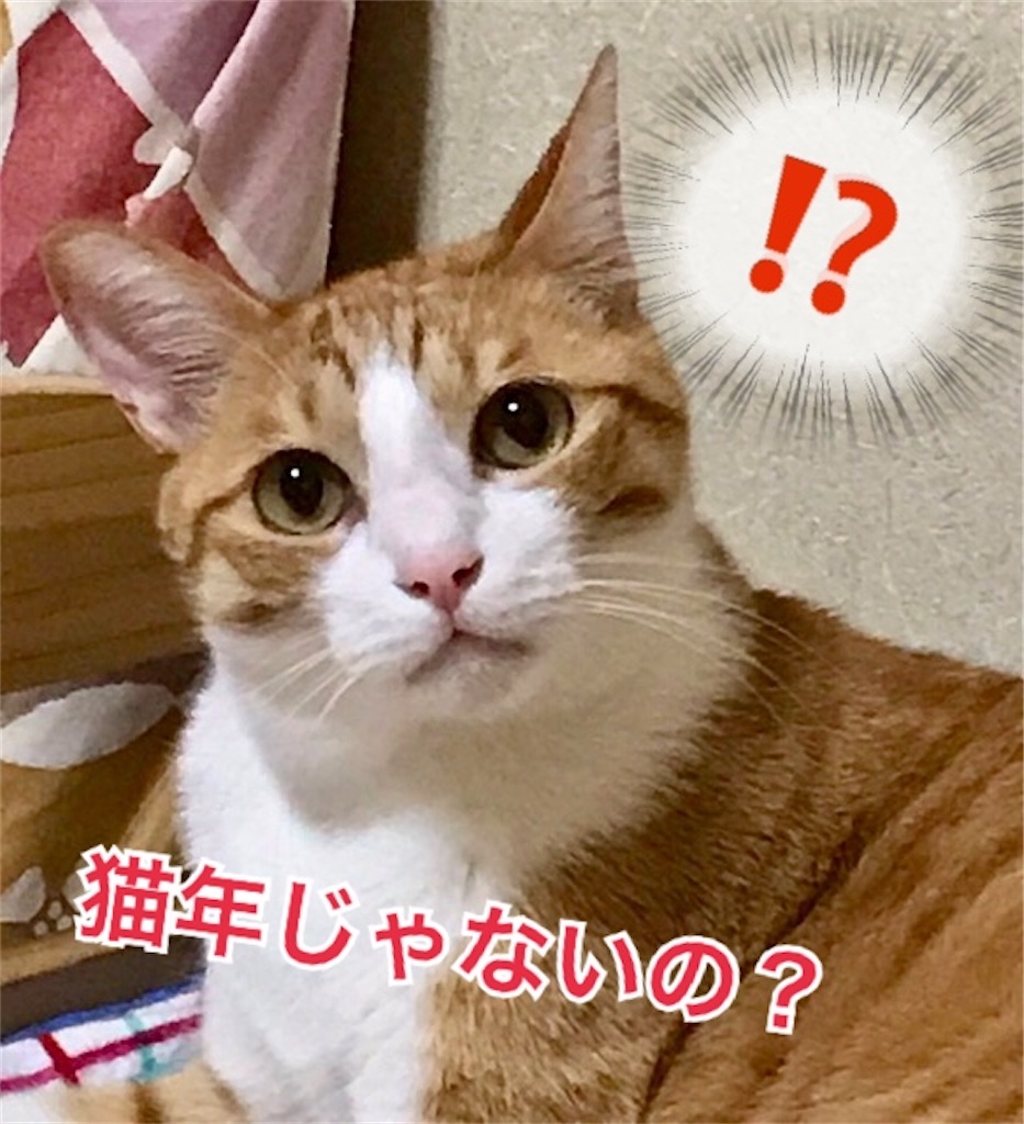 f:id:mitsu5858:20191213135311j:plain f:id:mitsu5858:20191213135311j:plain