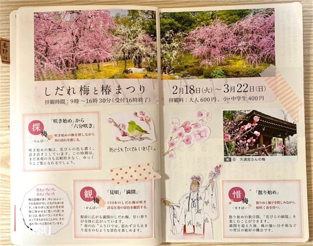 f:id:mitsu5858:20200220122427j:image f:id:mitsu5858:20200220122427j:image