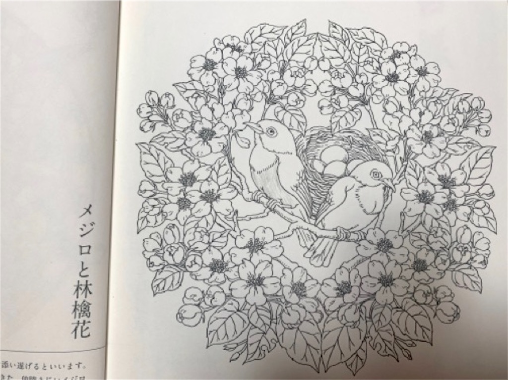 マンダラコロリアージュ メジロと林檎花 の塗り絵が完成 てがきーの マンダラコロリアージュ メジロと林檎花 の塗り絵が完成 てがきーの