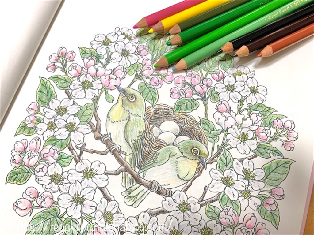 マンダラコロリアージュ【メジロと林檎花】の塗り絵