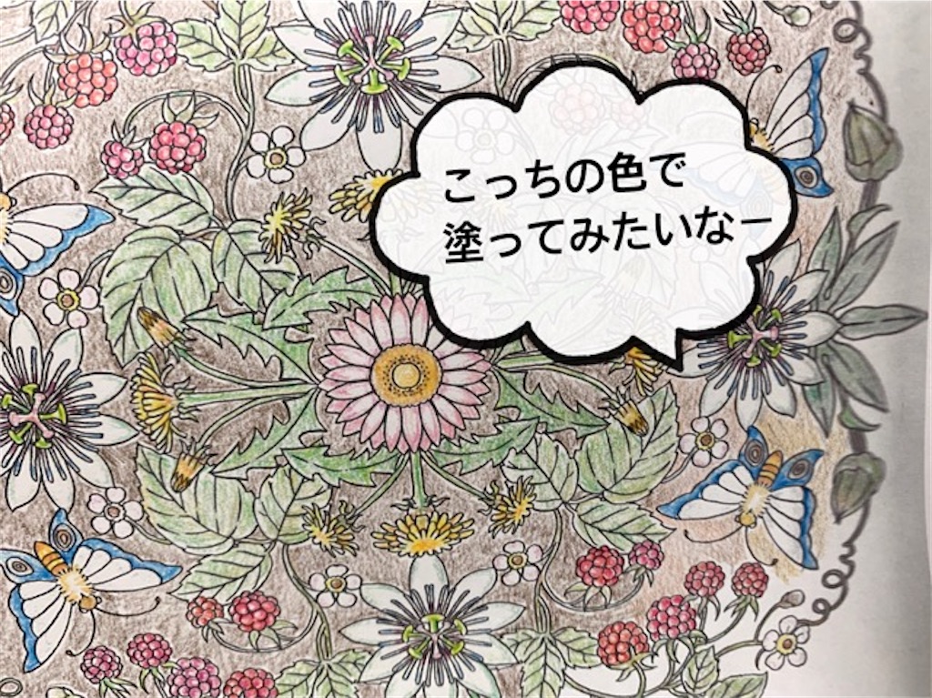 f:id:mitsu5858:20200610094327j:image f:id:mitsu5858:20200610094327j:image