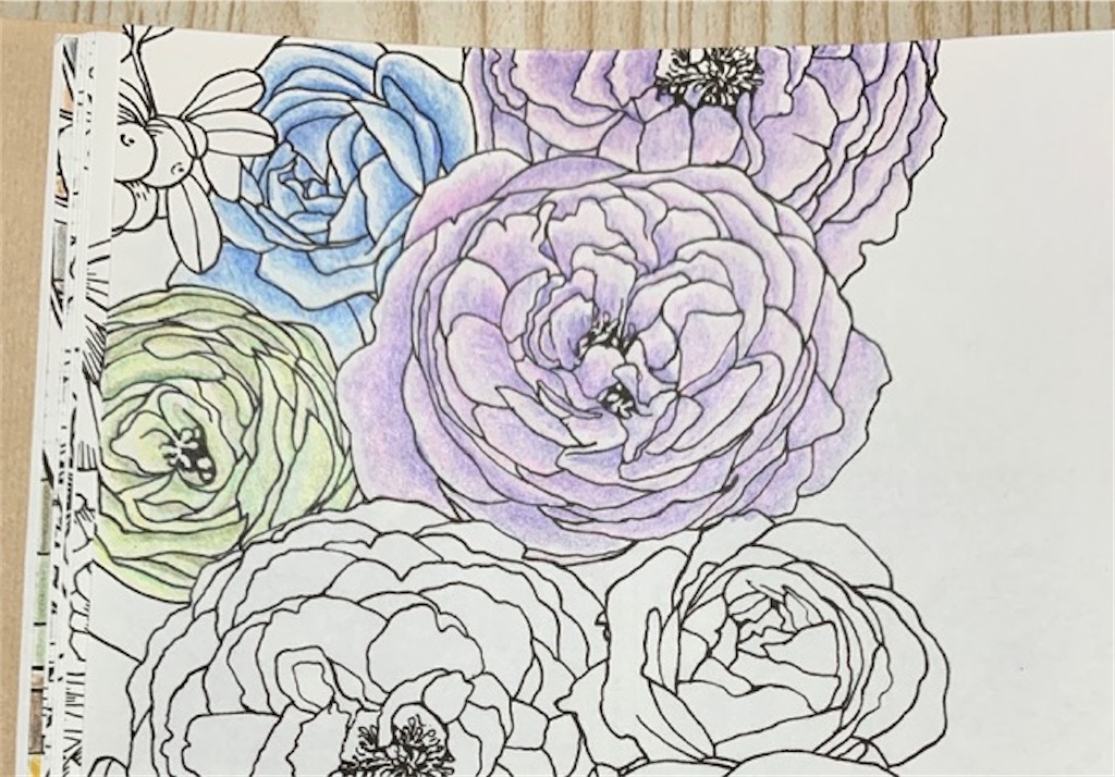 f:id:mitsu5858:20200705170601j:plain f:id:mitsu5858:20200705170601j:plain