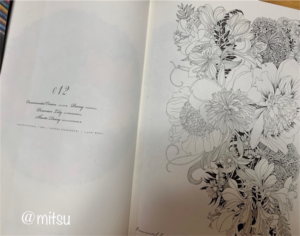 f:id:mitsu5858:20200831092609j:image f:id:mitsu5858:20200831092609j:image